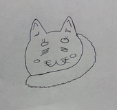 しっぽ
