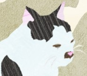 わかば