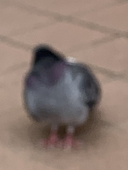 あき
