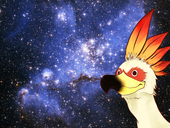 うぇーぶ