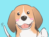 ビーグル犬