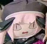 ナイヨー