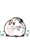 Neeeeko