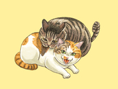 ちゃんちょめ