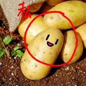 Kawaii Jagaimo