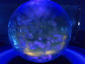 天気海月
