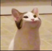 に