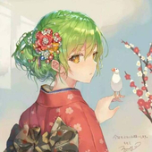 IRsusu