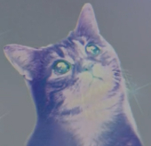 he