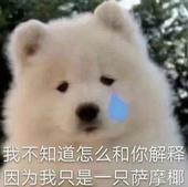 木耳山羊