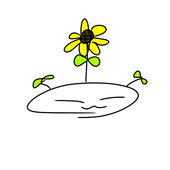 こくともちφ◎