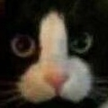 TomaotoCat