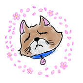 もの