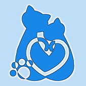 あおい(猫)/あまと