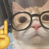 Deki