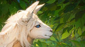 Llama