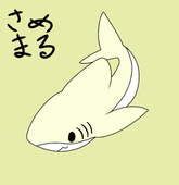 さめまる
