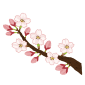 兎華