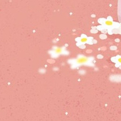 木冬