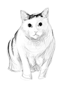ねくサブ