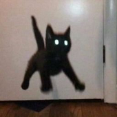 ュ‼️