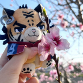 うさ🎩🎺