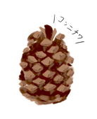 かめろんぱん