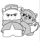 茶