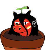 ユルノク