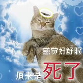 一木