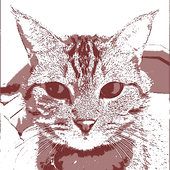 やまだっち