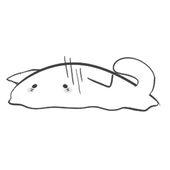 きりもち