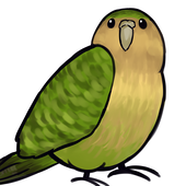 ぐらお