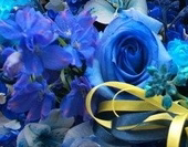 篠