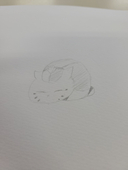 おもち