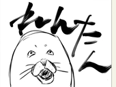 アザラシ