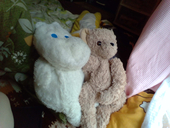 みょんこな(^o^)