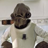 Mon Calamari