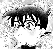 橙白緑