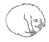 小動物係