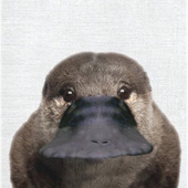 かもみぃる