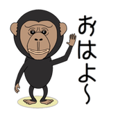 こうせいhk
