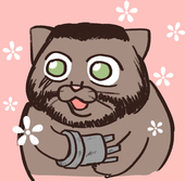 司