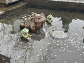 もちきんちゃく