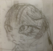 桜間 猫