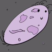 paramecium
