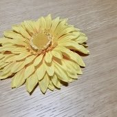 楪 えなみ