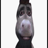Oui