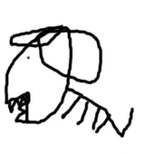Joe123