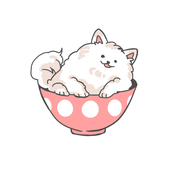 もとよし